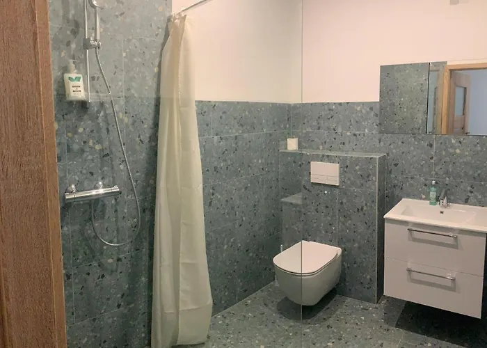 Apartment King Guest *